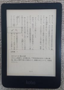 辞書機能を使用した様子